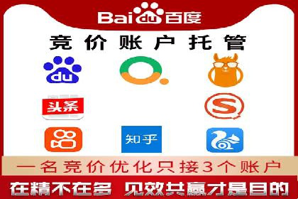初学者的百度竞价推广：成功案例揭秘